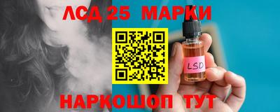 прущие грибы Усть-Джегута