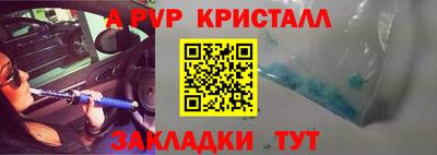 прущие грибы Усть-Джегута