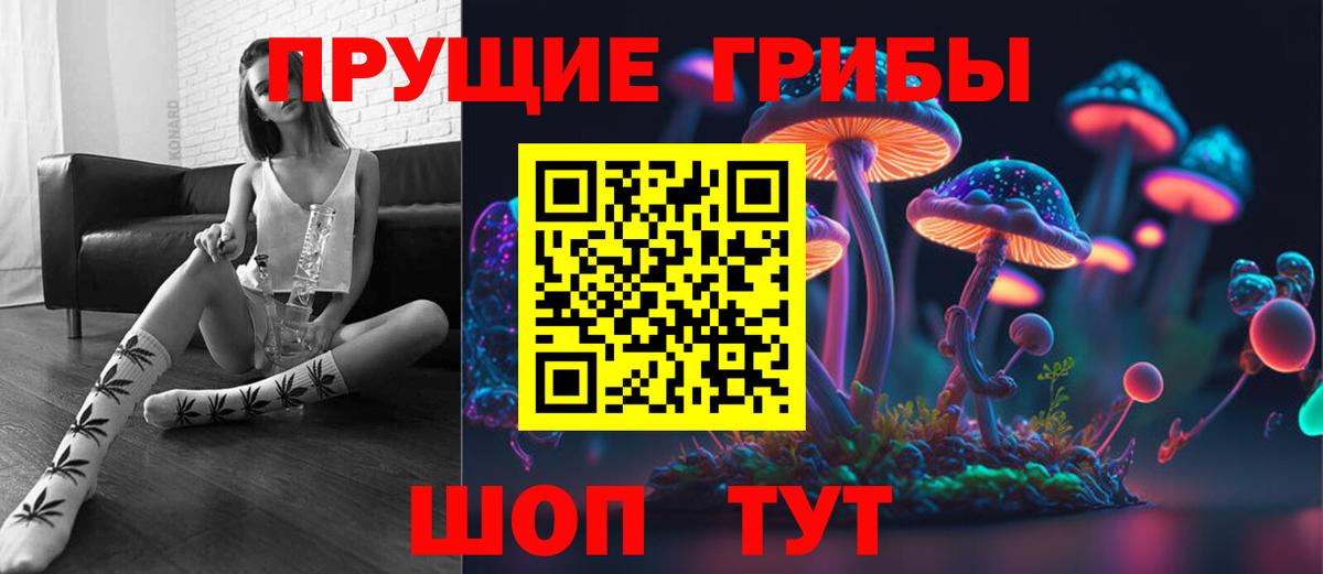 Псилоцибиновые грибы GOLDEN TEACHER  Вход с VPN  Галлюциногенные грибы Cubensis  Ачхой-Мартан 